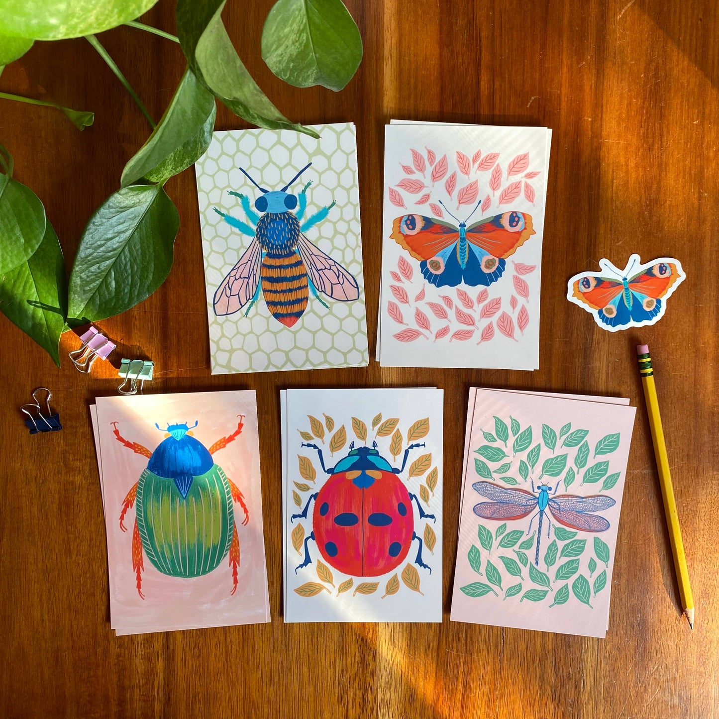 Insects/Bugs Postcard Set - 10 postcards