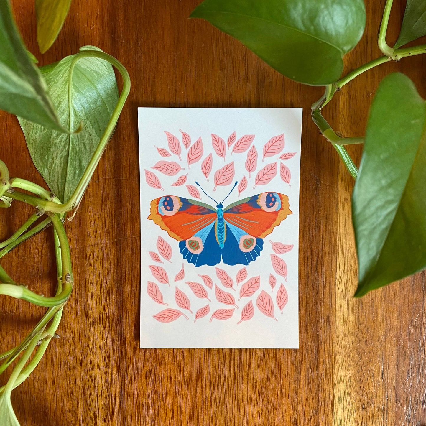 Insects/Bugs Postcard Set - 10 postcards
