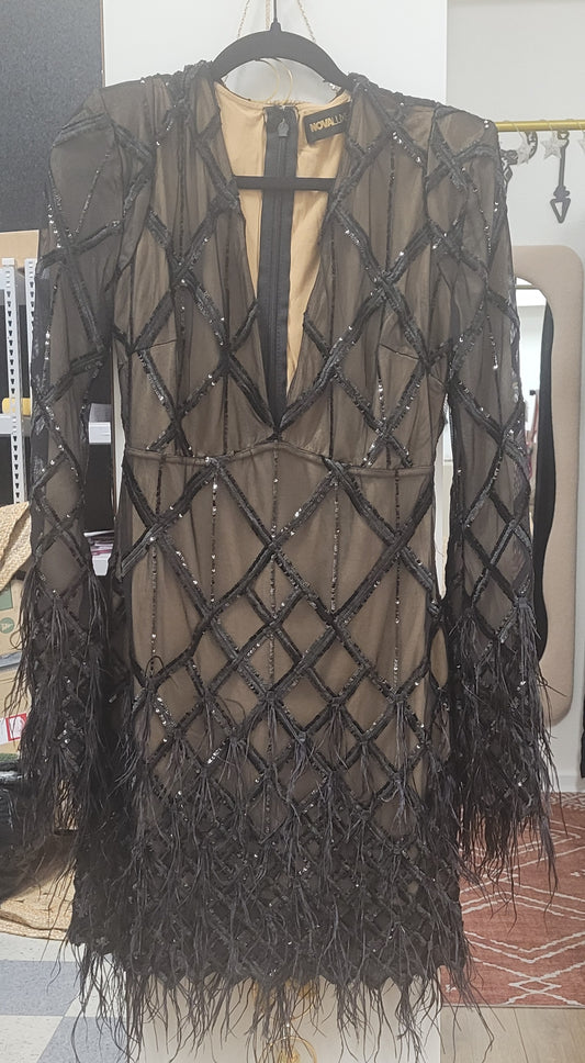 Amber Deep V Embellished Feather Trim Mini Dress