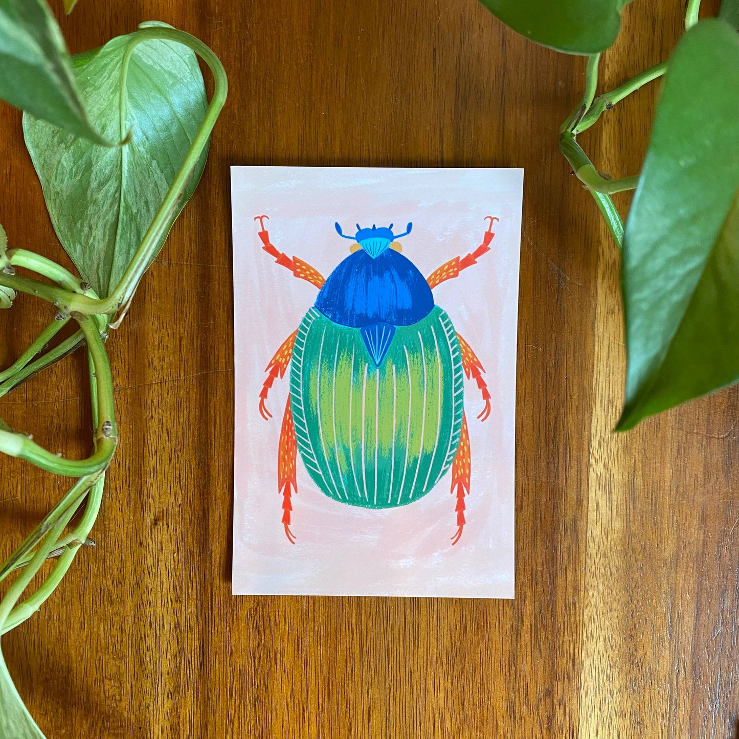Insects/Bugs Postcard Set - 10 postcards