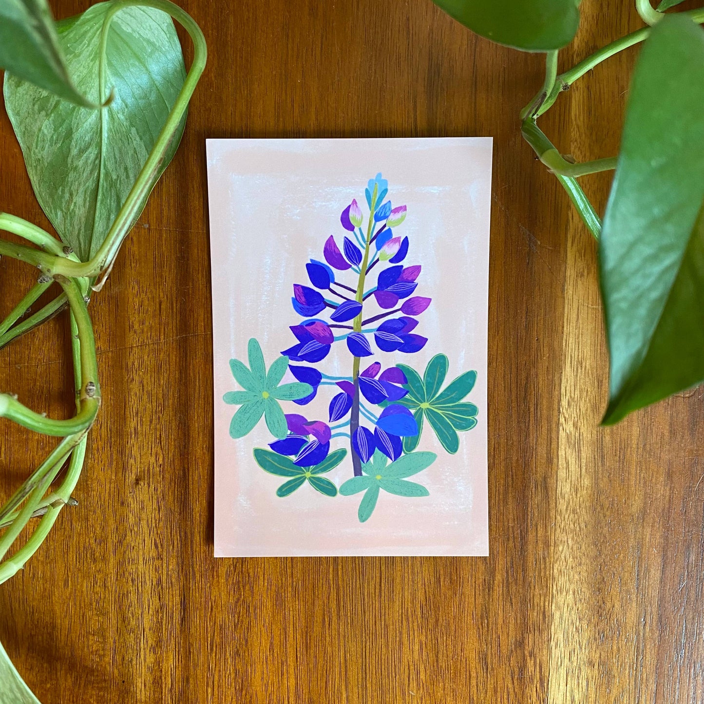 Pacific Northwest Wildflower Postcard Set - 10 postcards