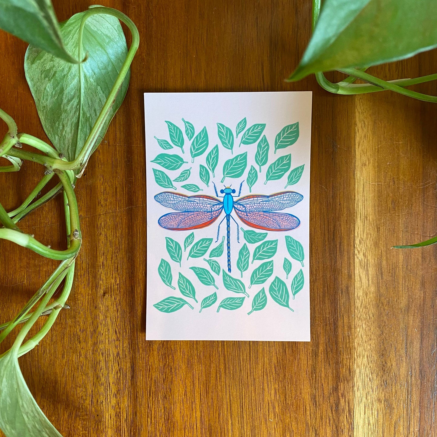 Insects/Bugs Postcard Set - 10 postcards