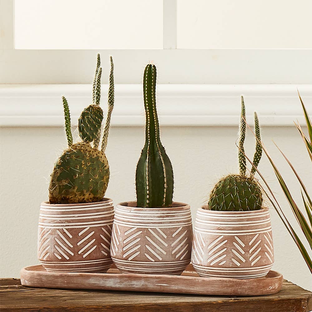 Novo Clay Planters - Set of 3