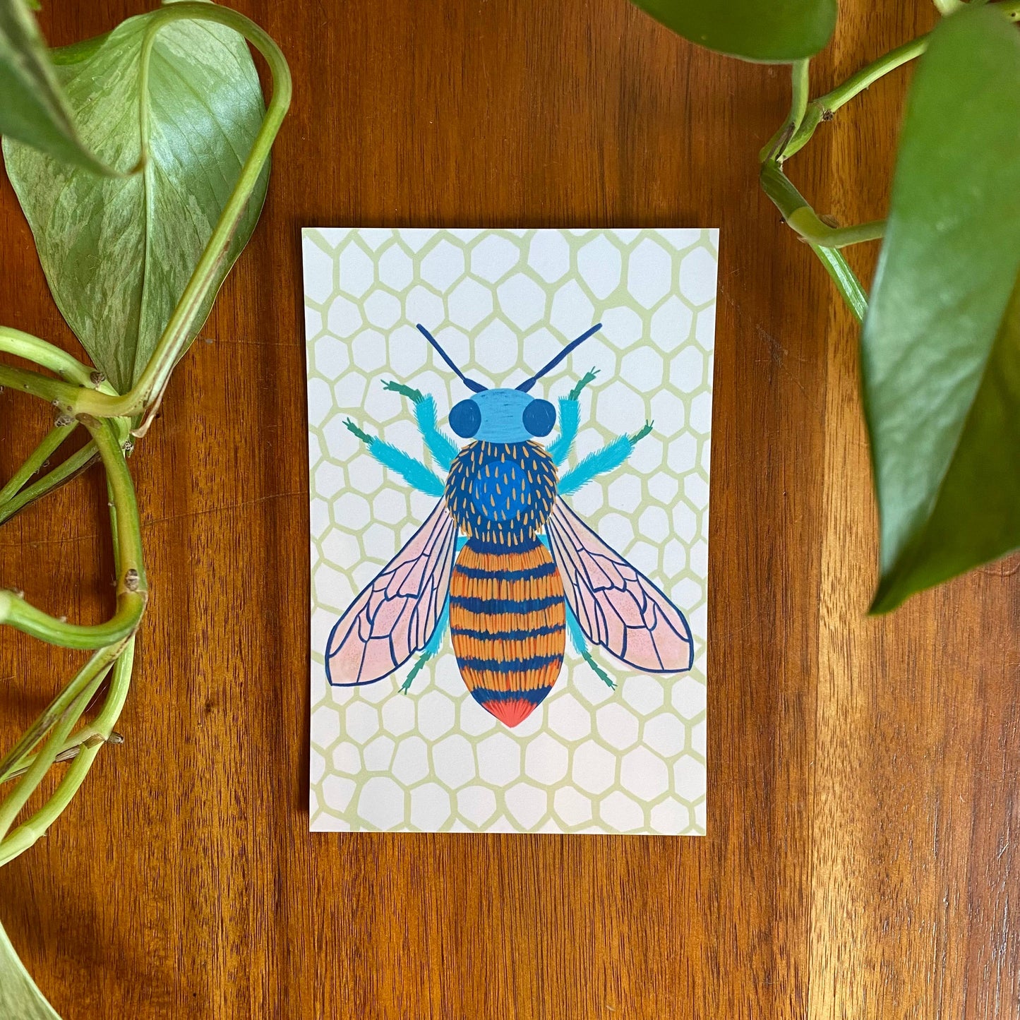 Insects/Bugs Postcard Set - 10 postcards