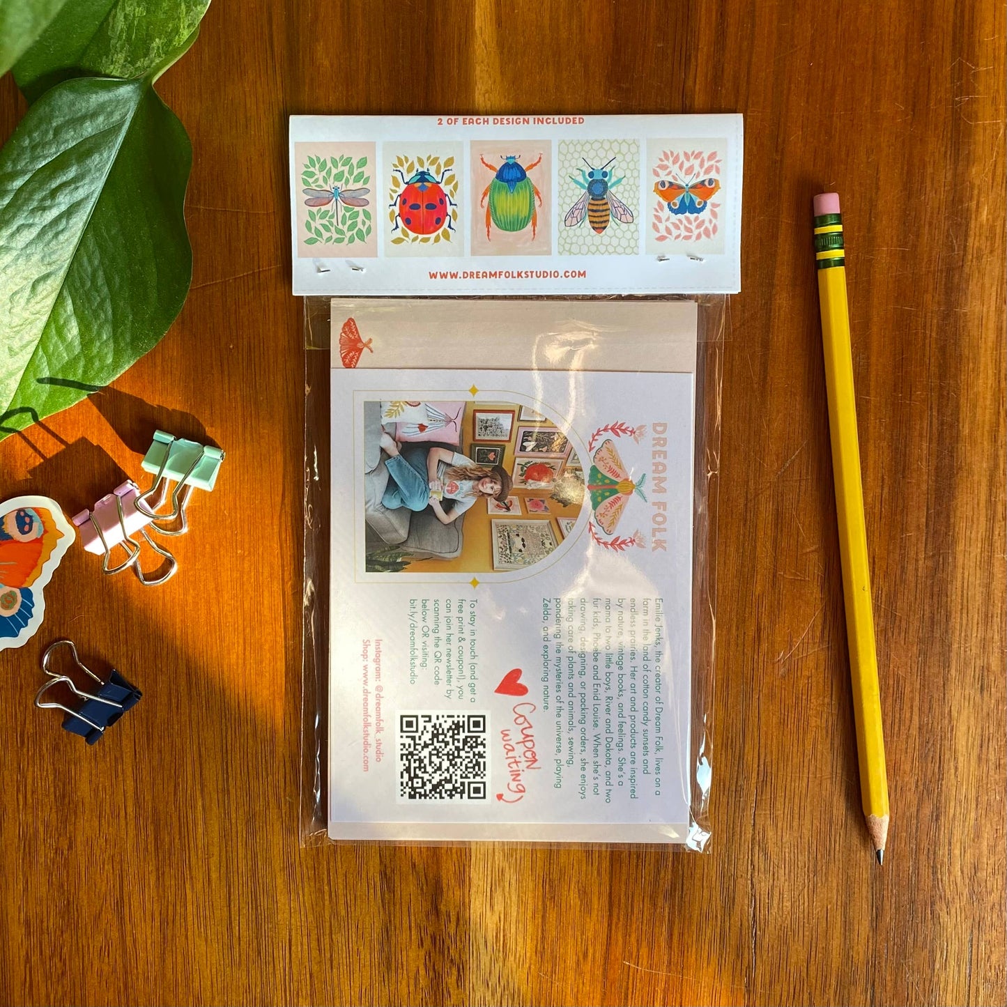 Insects/Bugs Postcard Set - 10 postcards