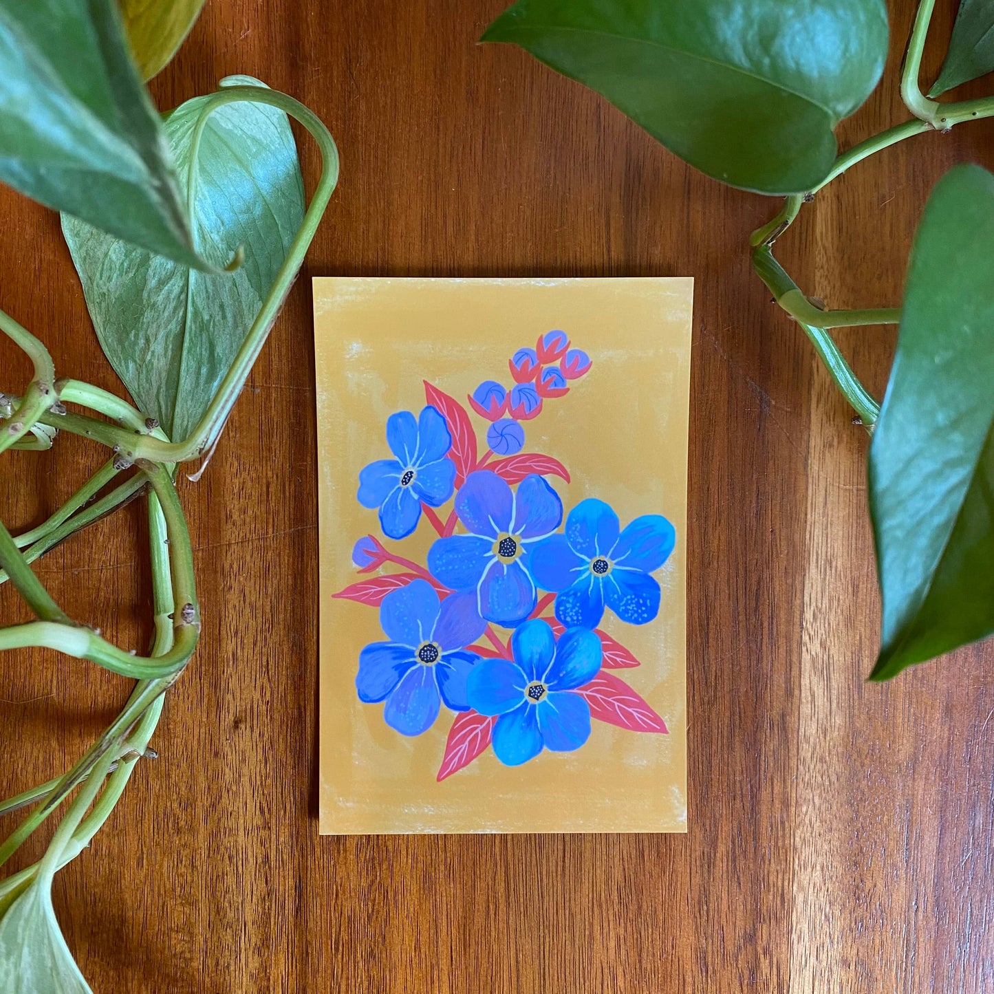 Pacific Northwest Wildflower Postcard Set - 10 postcards