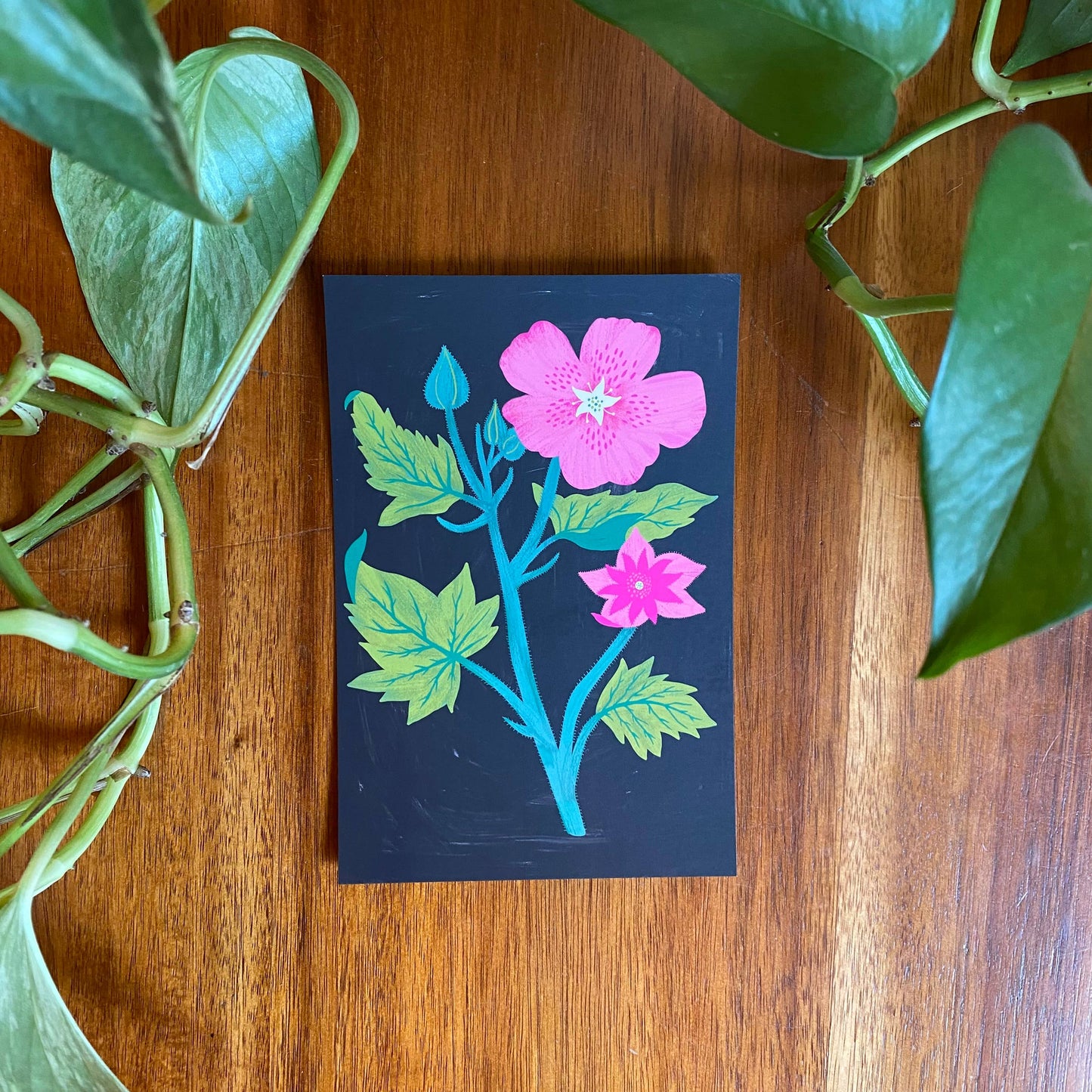 Pacific Northwest Wildflower Postcard Set - 10 postcards