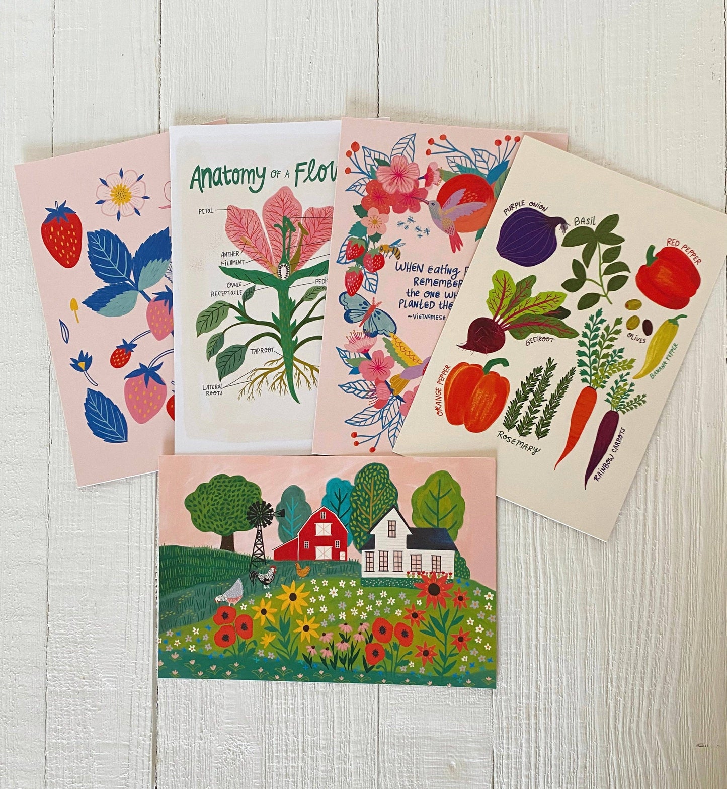 Happy Homestead/Farm Nature Postcard Pack - 10 postcards -