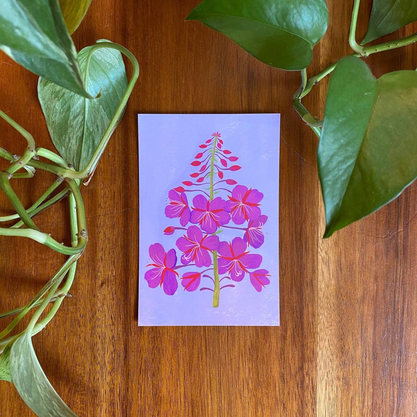 Pacific Northwest Wildflower Postcard Set - 10 postcards