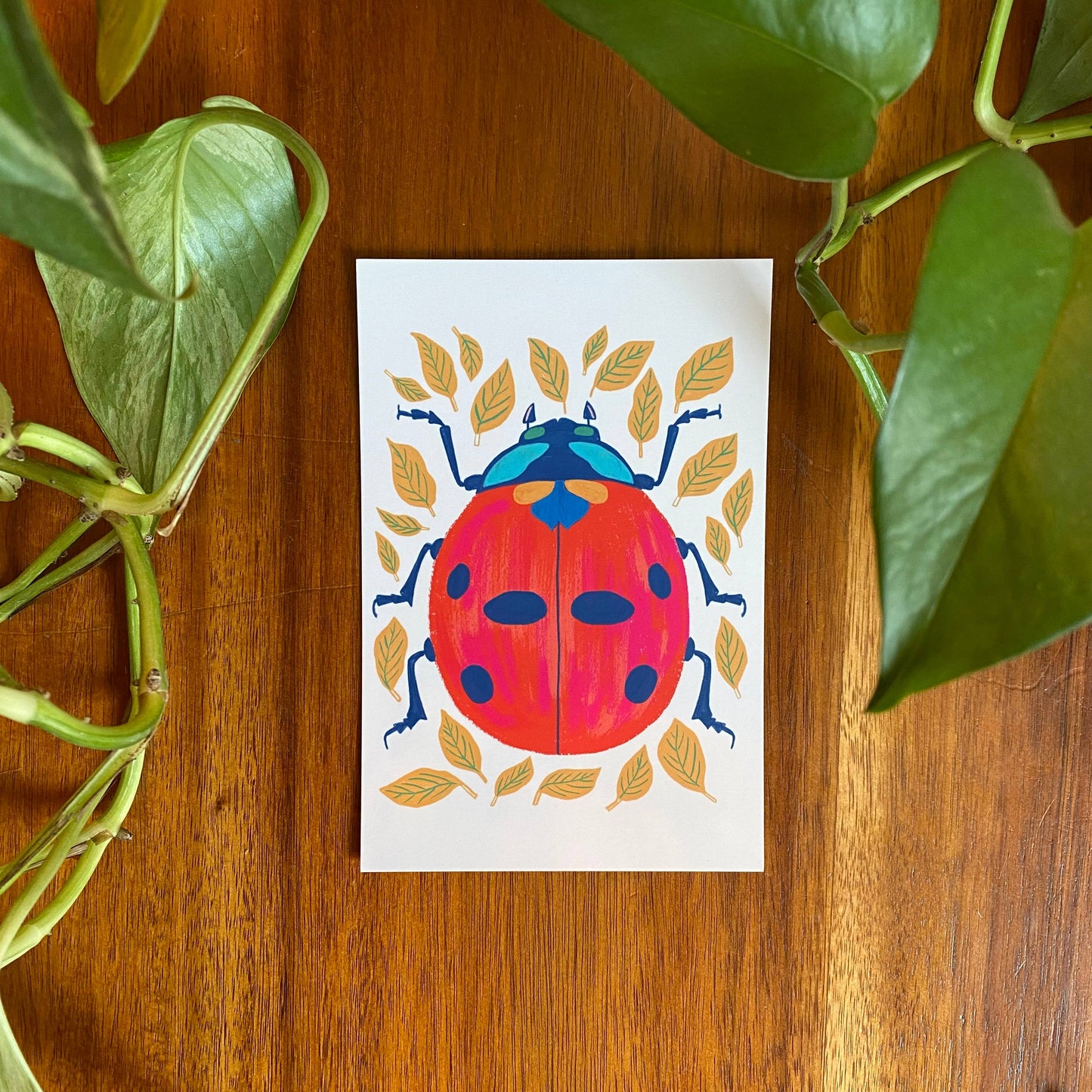 Insects/Bugs Postcard Set - 10 postcards