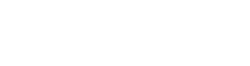 Wild Sunflower Shops LLC 